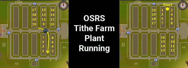osrs tithe farm running