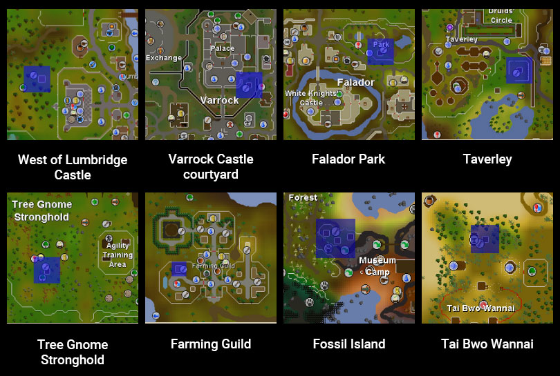 osrs tree patch locations
